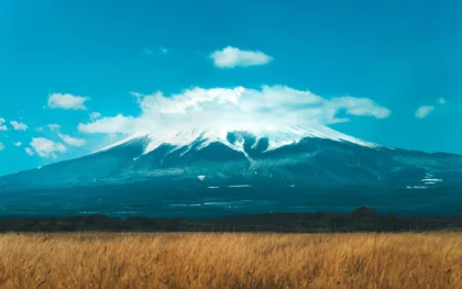 Demo image